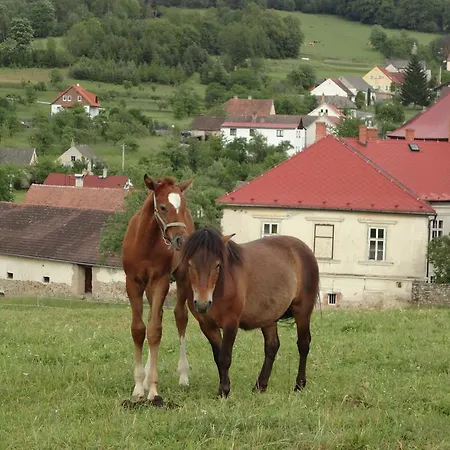 Jizdarna Zamek Skalice *